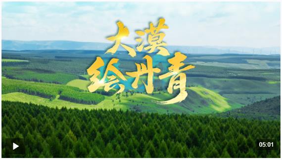 近觀“兩山”丨大漠繪丹青