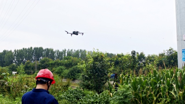 國網平輿縣供電公司：激光除患護線路 高效運維有保障