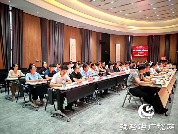 平輿東皇街道：以實(shí)干為筆 以擔(dān)當(dāng)為墨 書寫黨建引領(lǐng)新篇章