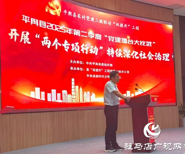 平輿東皇街道：以實(shí)干為筆 以擔(dān)當(dāng)為墨 書寫黨建引領(lǐng)新篇章