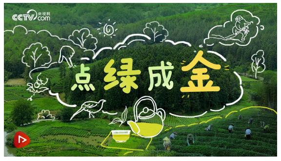 點綠成金
