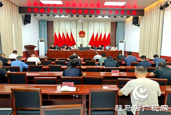 平輿縣十字路鄉(xiāng)：環(huán)境整治三步走，擦亮文明新底色