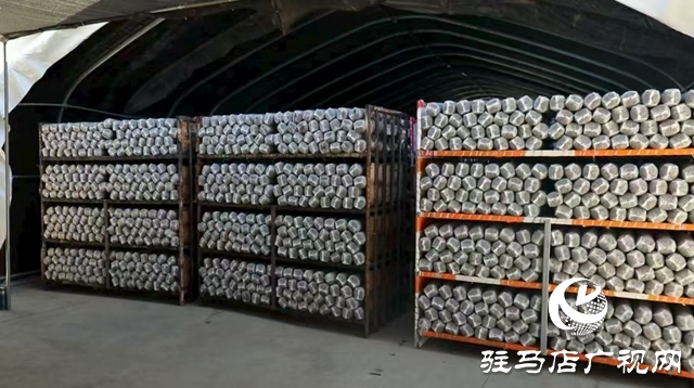 泌陽縣：菌棒生產助力食用菌產業(yè)多元化發(fā)展