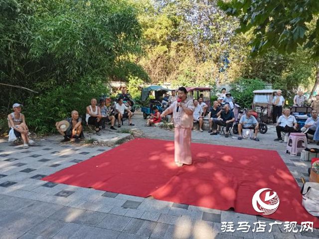 芝麻花藝術(shù)團(tuán)義務(wù)演出點(diǎn)亮驛城夏夜