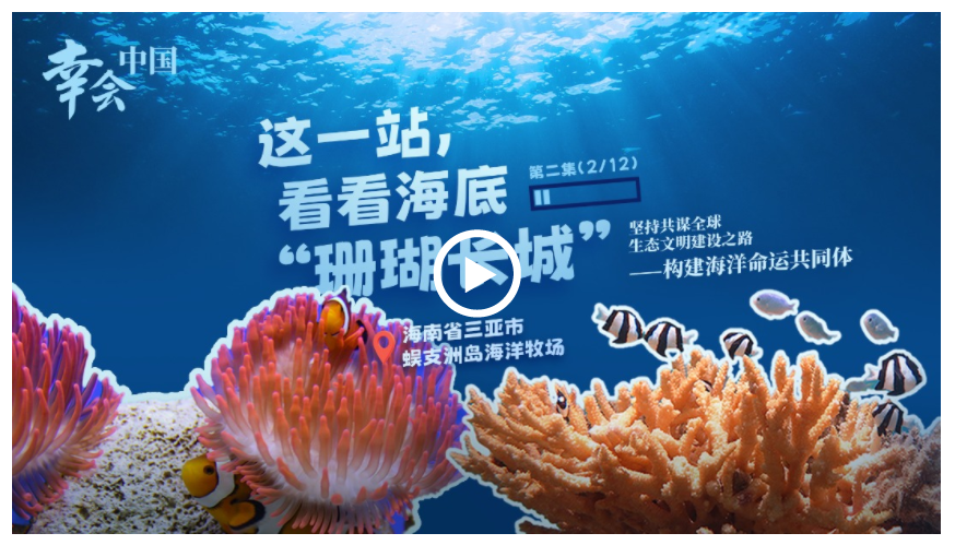 幸會中國 | 守護珊瑚之美，共筑“海洋命運共同體”
