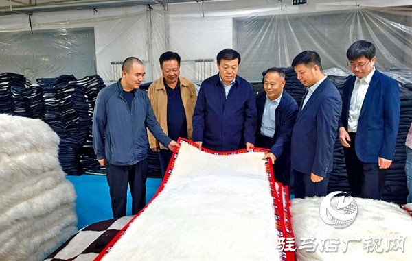 平輿縣委書記劉飛率隊赴廣東、甘肅開展招商考察活動