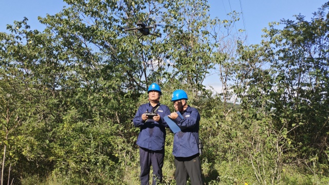 國網(wǎng)確山縣供電公司：奮戰(zhàn)“秋老虎”，織密“清涼網(wǎng)”