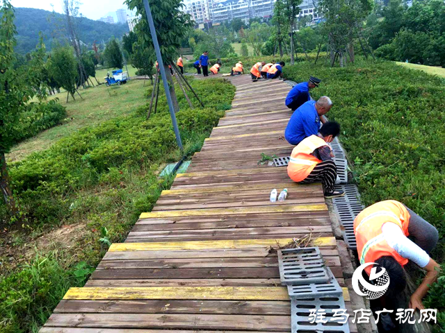 確山縣住建局：推動公園提質 讓群眾幸福感持續(xù)升溫