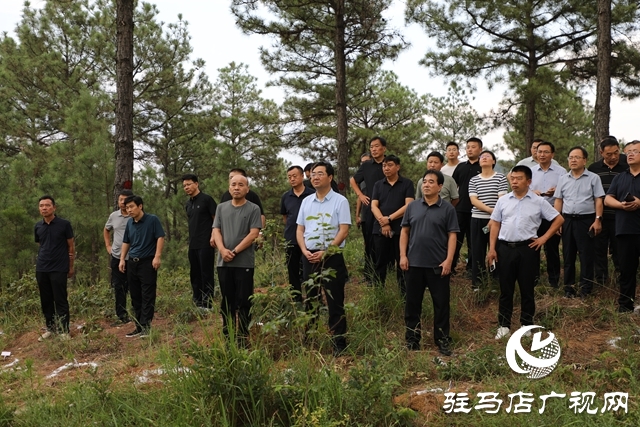 全省森林撫育經(jīng)營(yíng)現(xiàn)場(chǎng)推進(jìn)會(huì)在泌陽(yáng)縣召開