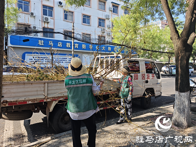  開(kāi)發(fā)區(qū)城市管理局：開(kāi)展綠化環(huán)境衛(wèi)生整治凈化城市綠色空間