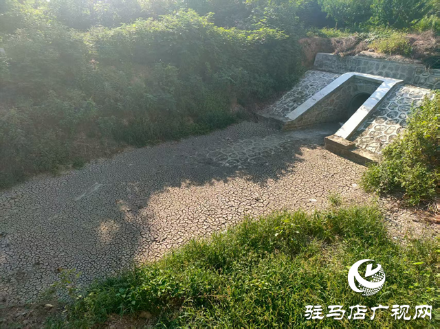  開發(fā)區(qū)城市管理局：扎實(shí)開展河道專項(xiàng)巡查 守護(hù)城市水生態(tài)