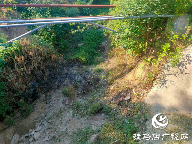  開發(fā)區(qū)城市管理局：扎實(shí)開展河道專項(xiàng)巡查 守護(hù)城市水生態(tài)