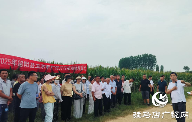 泌陽(yáng)縣召開2025年玉米規(guī)模種植單產(chǎn)提升項(xiàng)目現(xiàn)場(chǎng)觀摩會(huì)