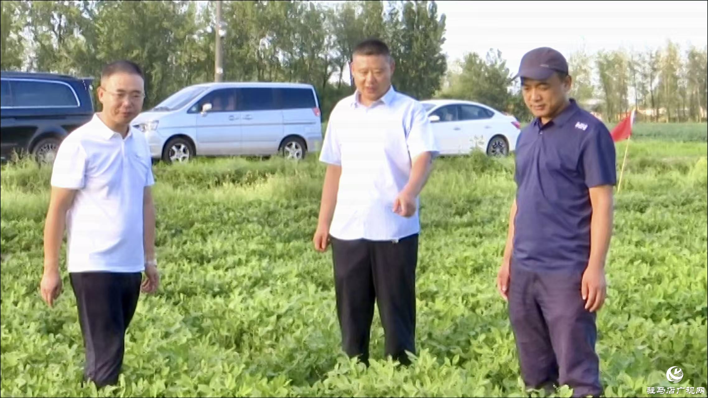 正陽縣:農(nóng)技人員搶抓農(nóng)時(shí) 田間“把脈問診”