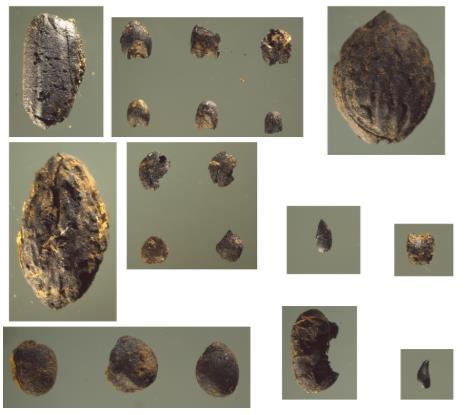 中國人“種地DNA”的源頭，藏在8000年前的河南