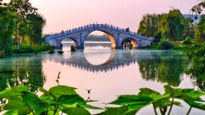縣區(qū)動態(tài) | 玉湖公園景色如畫
