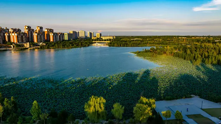 縣區(qū)動態(tài) | 玉湖公園景色如畫