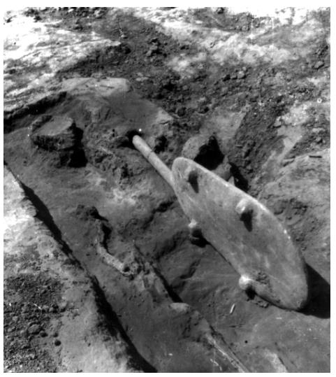 中國人“種地DNA”的源頭，藏在8000年前的河南