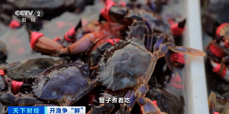 大降價！低至十元一斤！你愛吃的它，便宜了