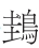 秭歸與秭歸鳥(niǎo)