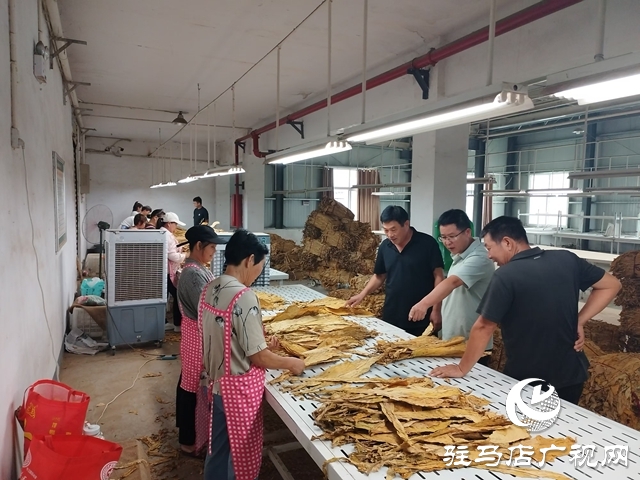 泌陽縣郭集鎮(zhèn):多措并舉備戰(zhàn)煙葉收購工作