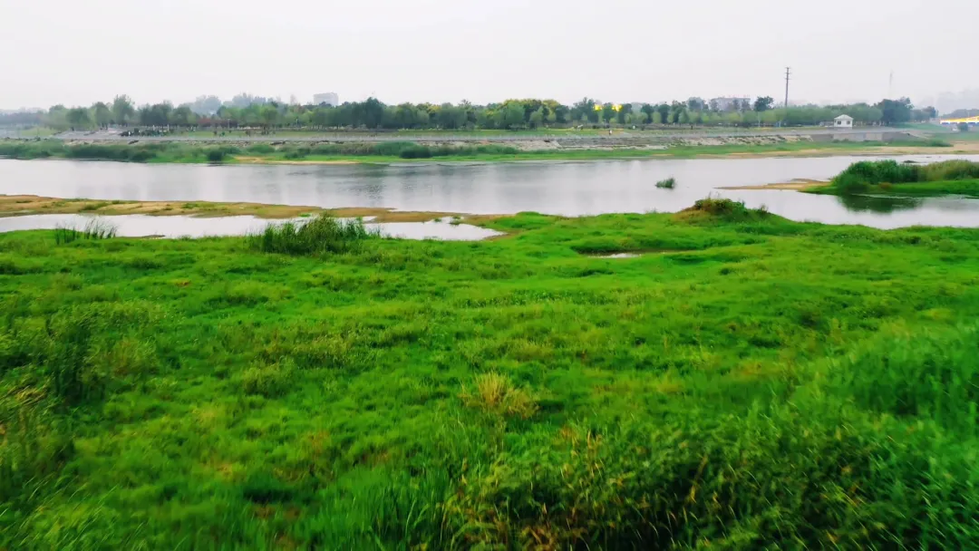 每到傍晚，這個地方的景色很夢幻...