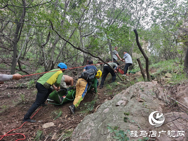 女子鳳鳴谷登山失足墜崖 駿馳救援隊(duì)緊急出動(dòng)化險(xiǎn)為夷