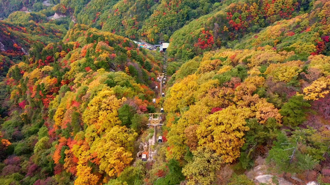 免票！河南這些景區(qū)推出教師專(zhuān)屬福利→