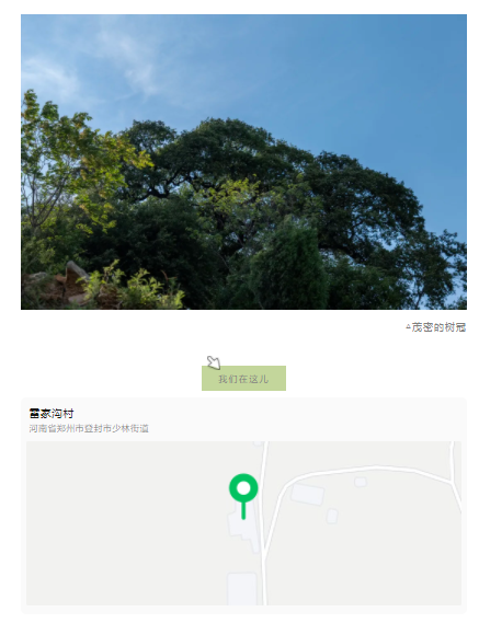 古樹長歌 | 嵩山腳下古道邊，七棵櫟樹跨越千年