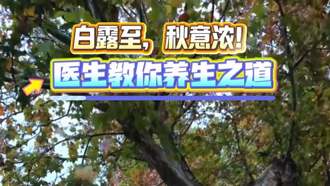 白露至，秋意濃！駐馬店市中醫(yī)院醫(yī)生教你養(yǎng)生之道