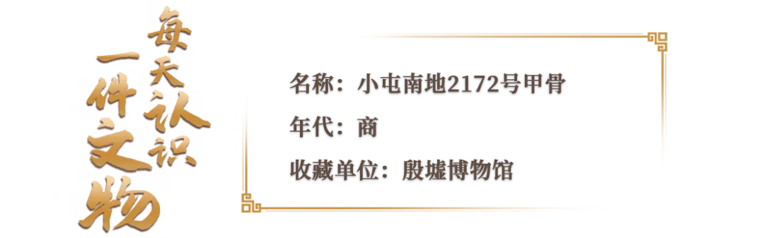 文博日歷丨透過這片“明星甲骨”，一起尋找漢字的源頭！