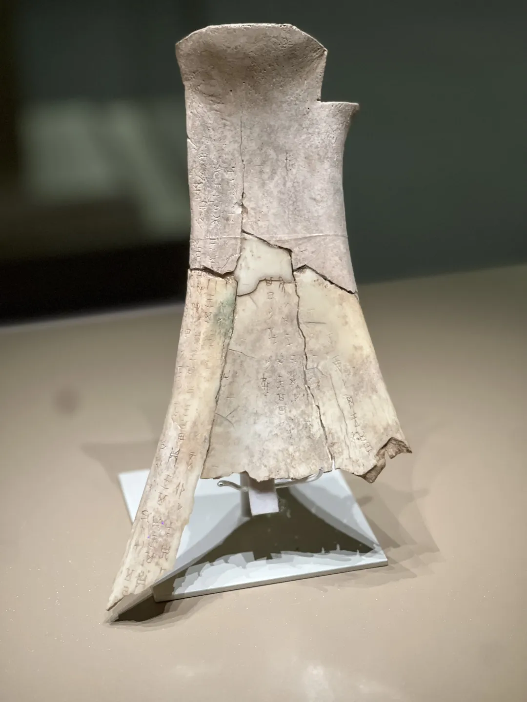 文博日歷丨透過這片“明星甲骨”，一起尋找漢字的源頭！