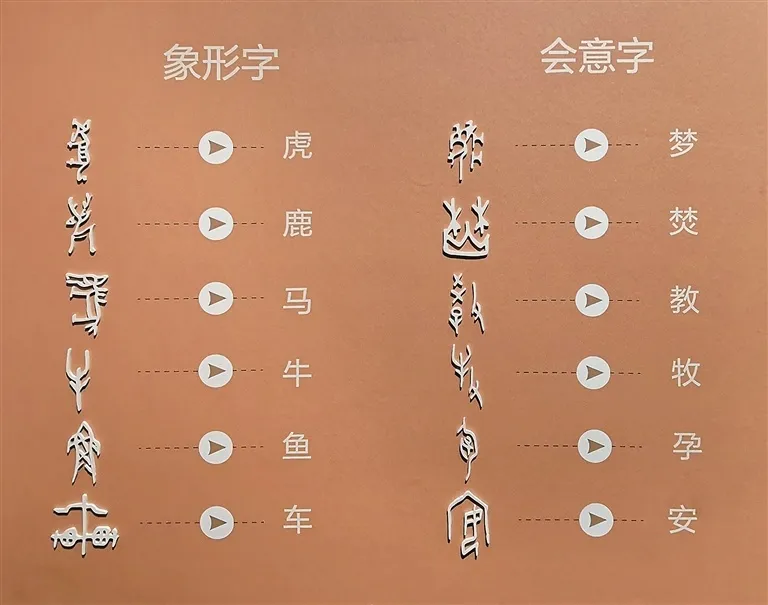 文博日歷丨透過這片“明星甲骨”，一起尋找漢字的源頭！