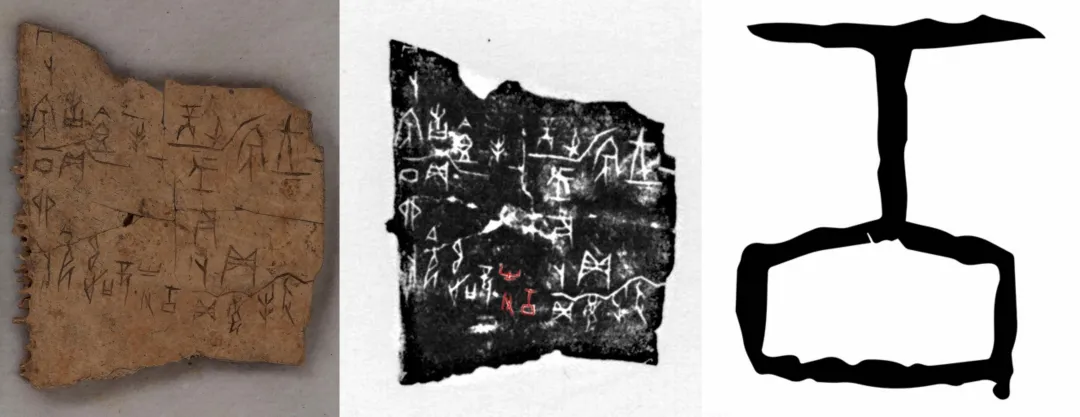 文博日歷丨透過這片“明星甲骨”，一起尋找漢字的源頭！