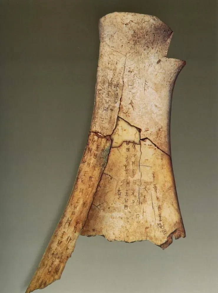 文博日歷丨透過這片“明星甲骨”，一起尋找漢字的源頭！