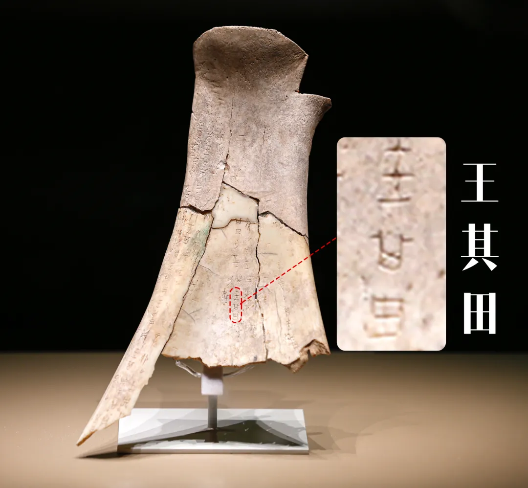 文博日歷丨透過這片“明星甲骨”，一起尋找漢字的源頭！