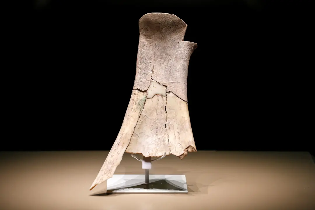 文博日歷丨透過這片“明星甲骨”，一起尋找漢字的源頭！