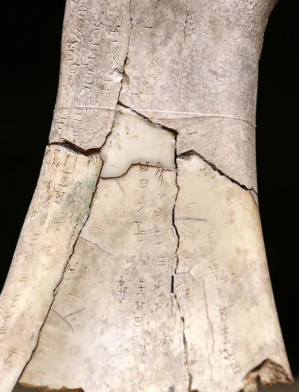 文博日歷丨透過這片“明星甲骨”，一起尋找漢字的源頭！