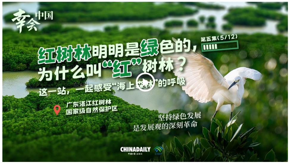 幸會(huì)中國(guó) | 中國(guó)海上綠色“長(zhǎng)城”，見證綠色發(fā)展的深刻革命