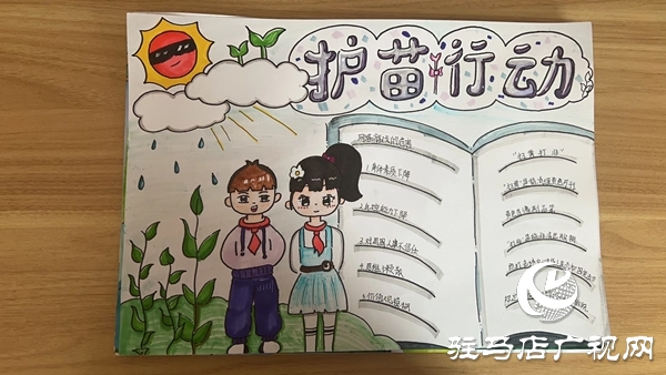 平輿縣第二初級中學(xué)“護(hù)苗·綠書簽”行動 
