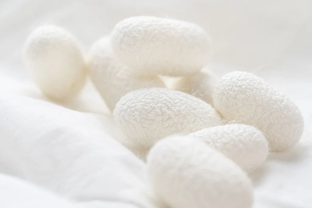 文博日歷丨三種文化符號“同框” 見證跨越千年的絲綢之路