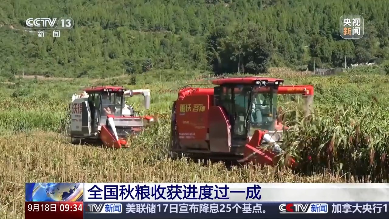 豐收進(jìn)度條刷新中 全國秋糧收獲進(jìn)度過一成