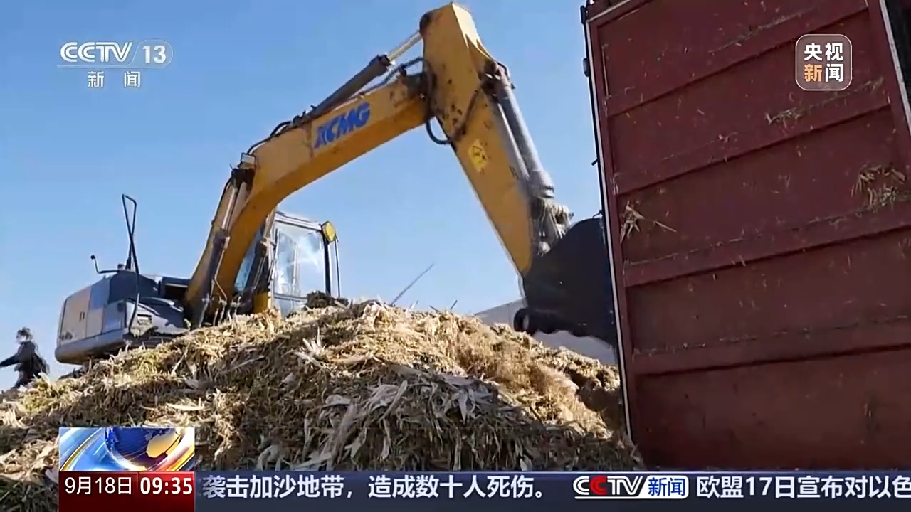 豐收進(jìn)度條刷新中 全國秋糧收獲進(jìn)度過一成
