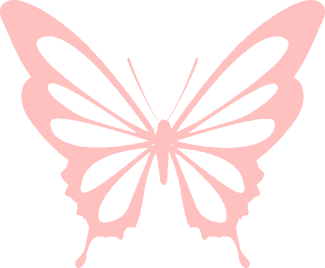 駐馬店又添一名國(guó)家級(jí)非遺傳承人