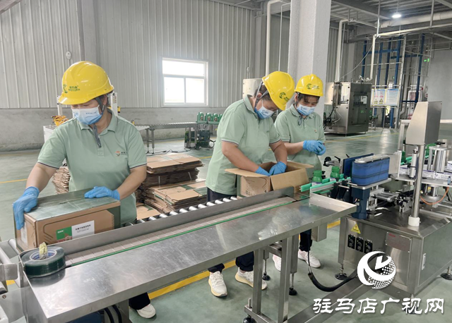 康拓森（駐馬店）生物科技：創(chuàng)新驅動 聚力攻堅 三季度沖刺成效顯著