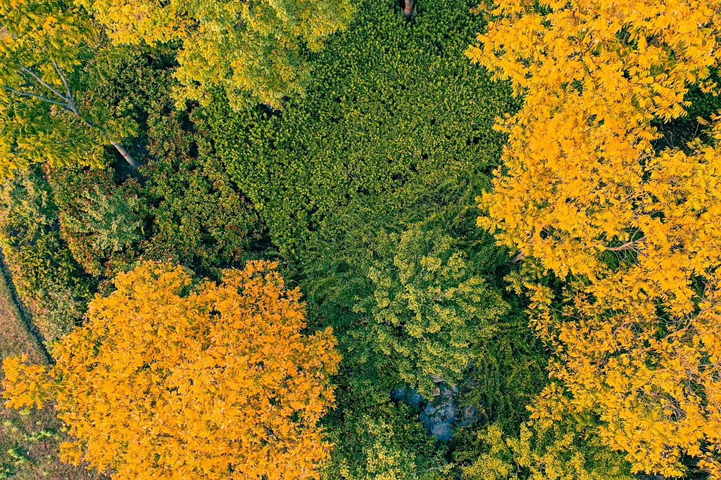 縣區(qū)動態(tài) | 朝霞映日晨光美