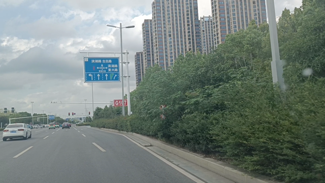 綠化帶瘋長遮擋視線 市民呼吁及時修剪消除隱患