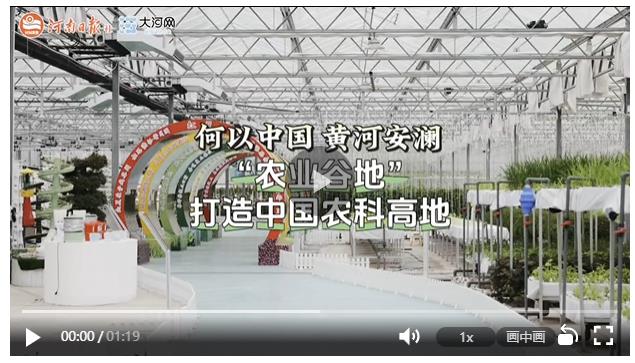 何以中國 黃河安瀾丨“農(nóng)業(yè)谷地”打造中國農(nóng)科高地