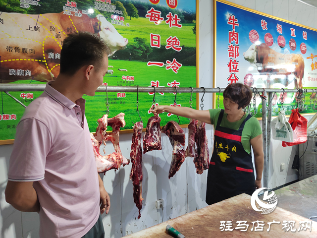 【出彩三農(nóng)人】康健波：90后小伙兒返鄉(xiāng)創(chuàng)業(yè)當(dāng)起了“牛保姆”