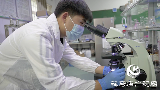 黃淮學(xué)院學(xué)子在第十屆全國(guó)大學(xué)生生命科學(xué)競(jìng)賽中斬獲多項(xiàng)獎(jiǎng)項(xiàng)